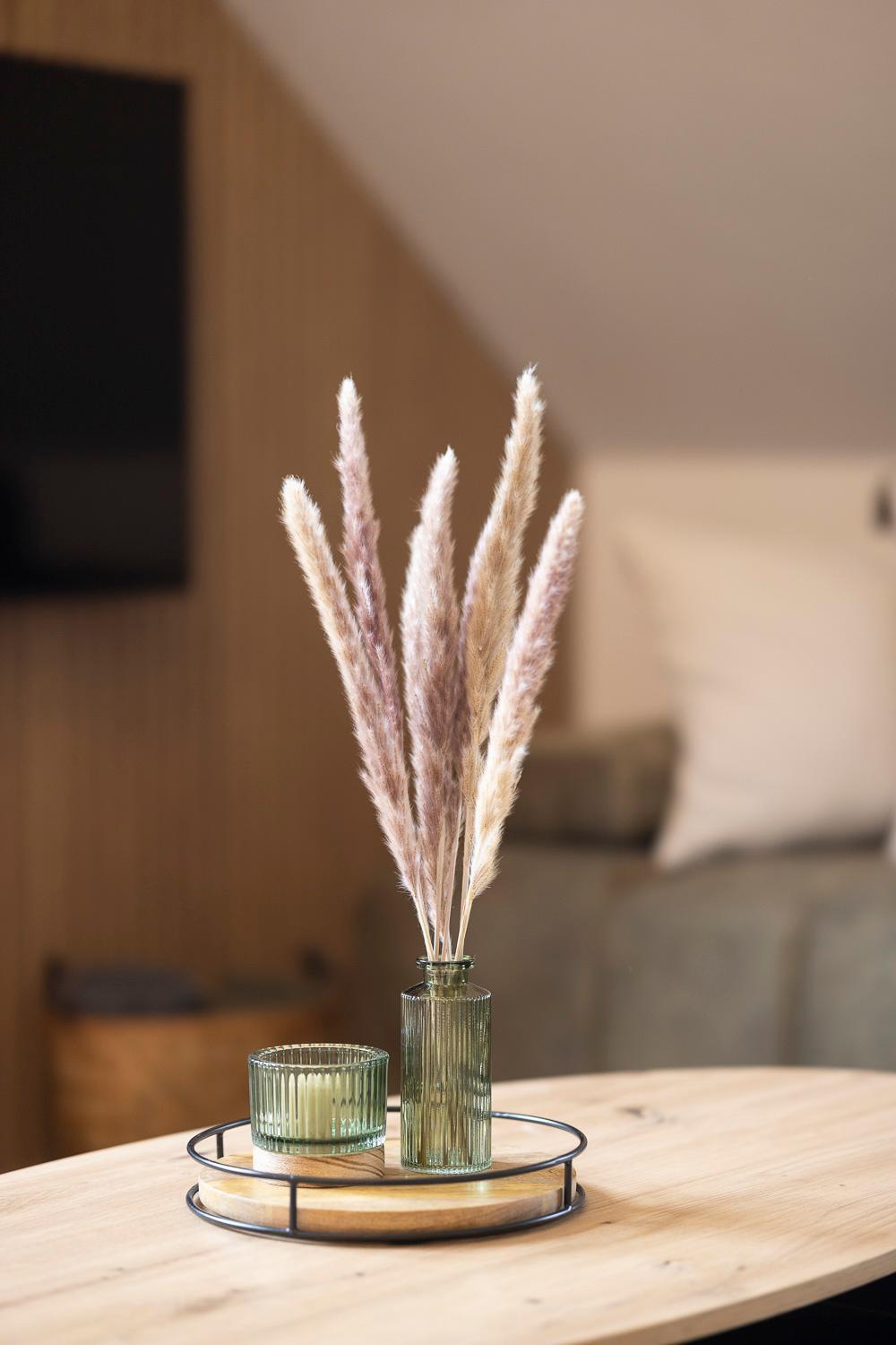 Apartman Manuel Horní Planá Εξωτερικό φωτογραφία